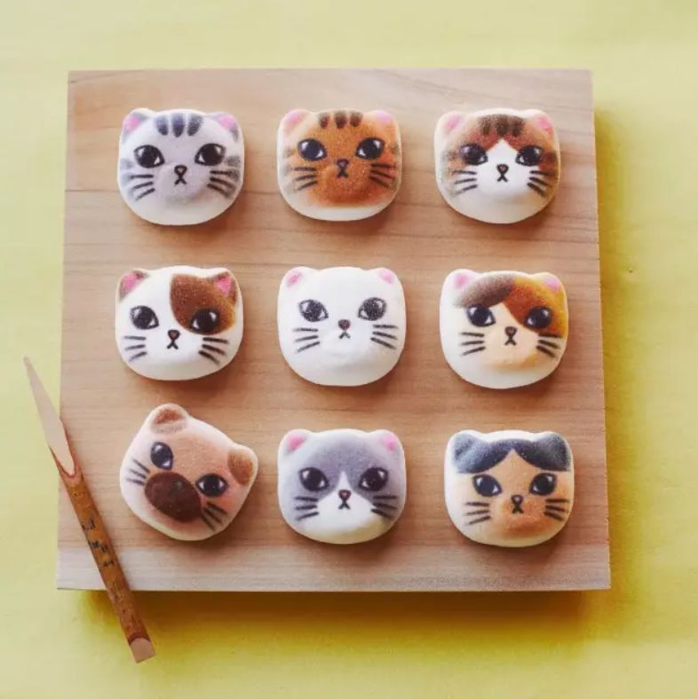 360度“云吸猫”?日本这家猫咪商店简直爱了