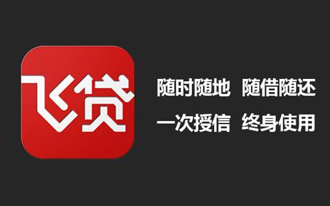 飞贷的商业模式,飞贷融资发展趋势