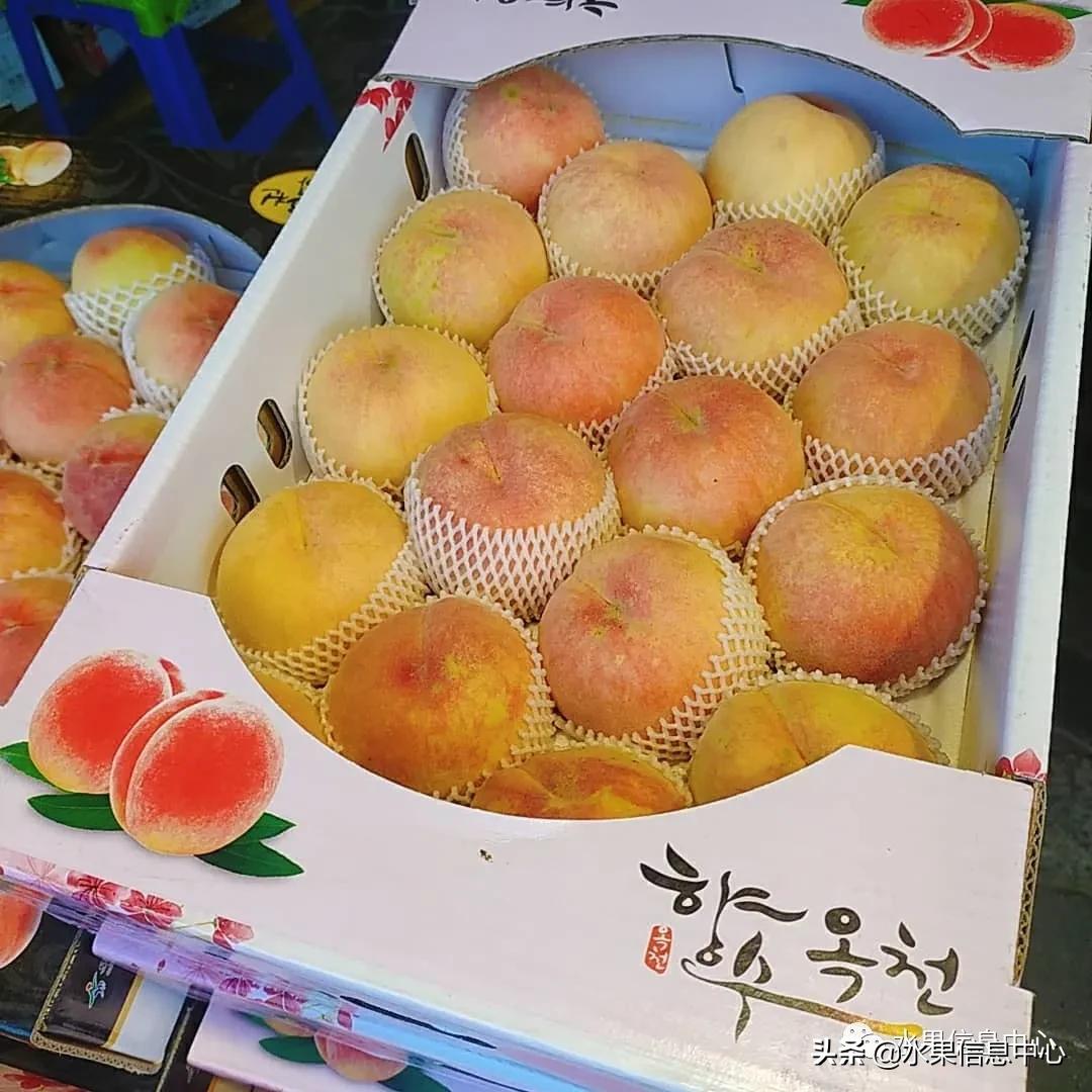 韩国水果批发市场进货渠道,韩国首尔最大的水果批发市场