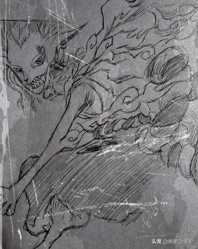 海贼王1019话,海贼王1106话情报夜与白鲸