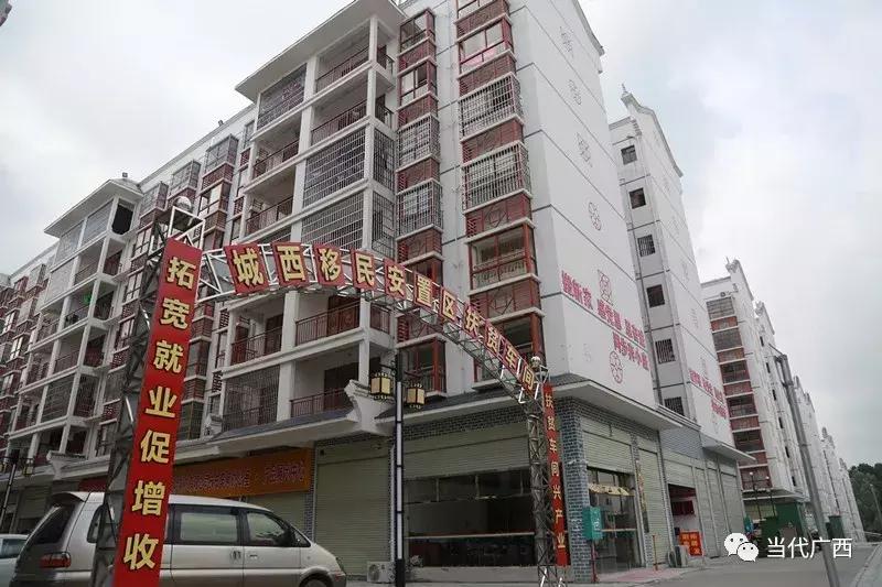 粤桂东西部协作,粤黔东西部协作交流