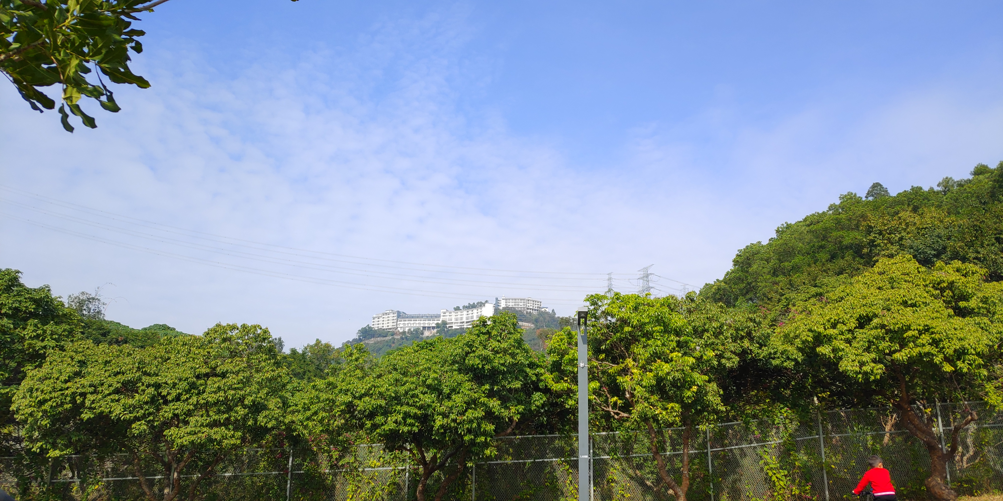 深圳罗湖绿道淘金山绿道攻略,深圳梧桐山绿道徒步攻略