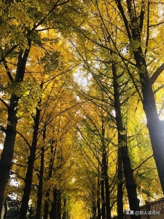 人类与自然和谐共生的诗,人类自然和谐共生古诗