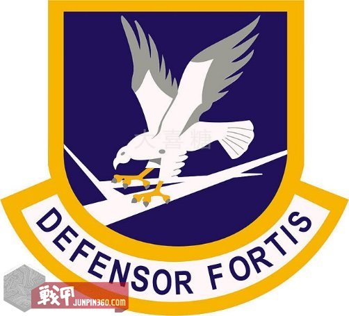 空军宪兵第四部分：安全部队制服配饰中的特色元素