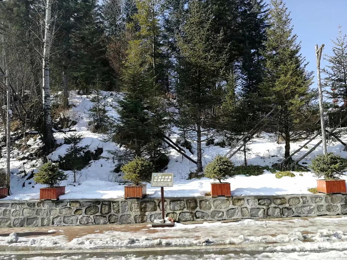 小小双峰冷凝紫气，壮美山河雪掩行踪