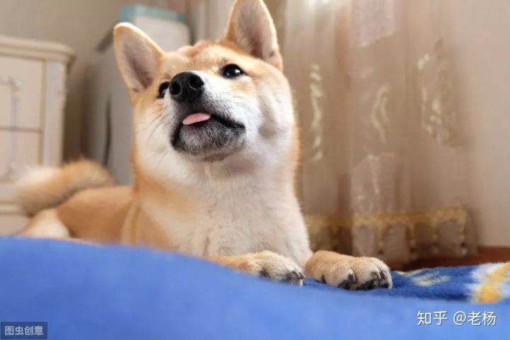 新生儿一喝牛奶就拉肚子怎么回事,小时候能喝牛奶长大一喝就拉肚子