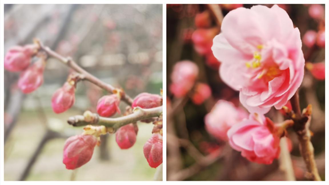 北京的园子有哪些,记忆中的老北京公园