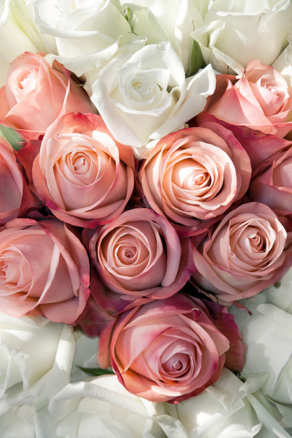 雷医生最新视频,雷医生与方医生视频