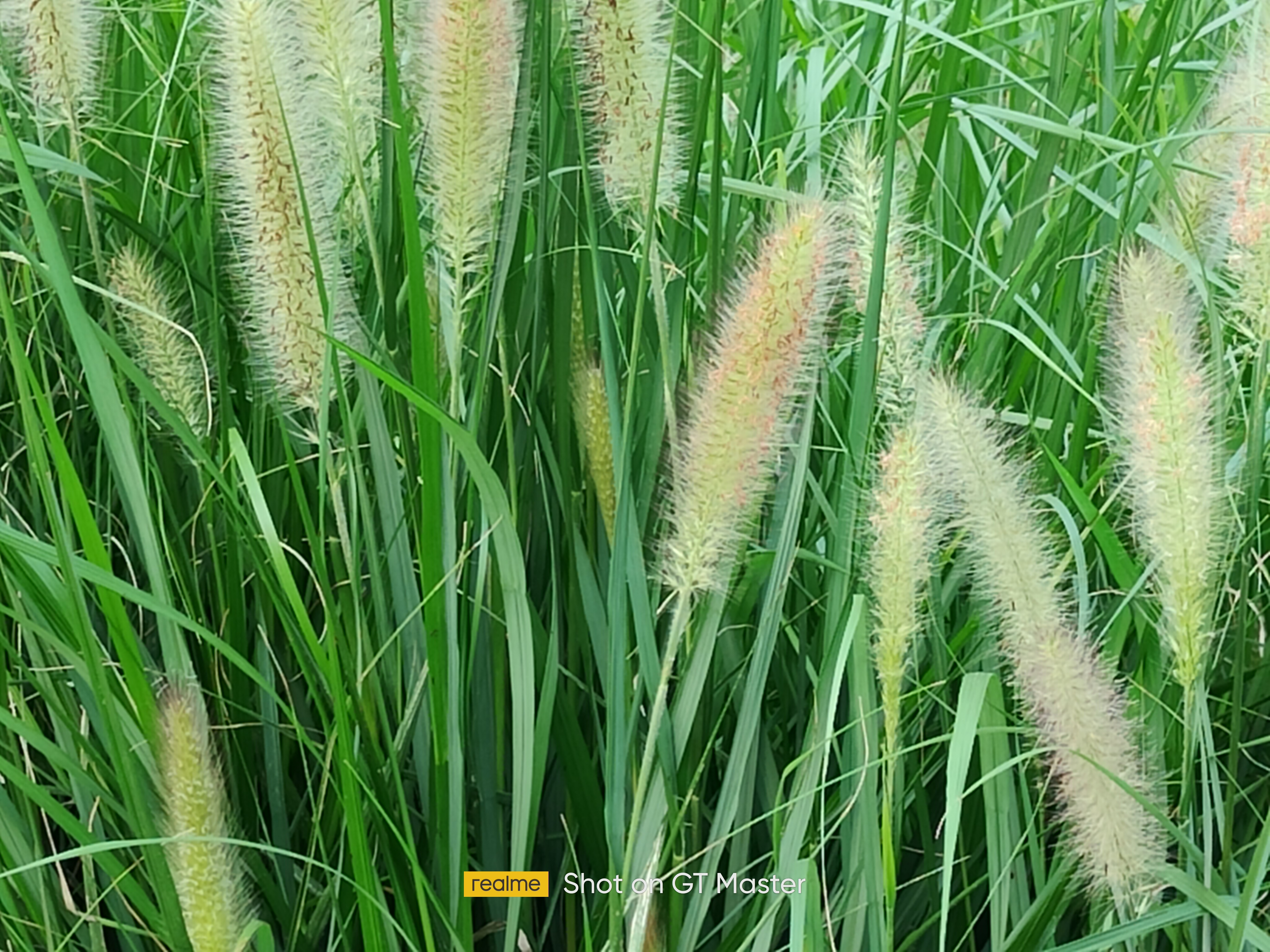 realme真我gt大师版白色开箱,realme真我gt大师探索版测评