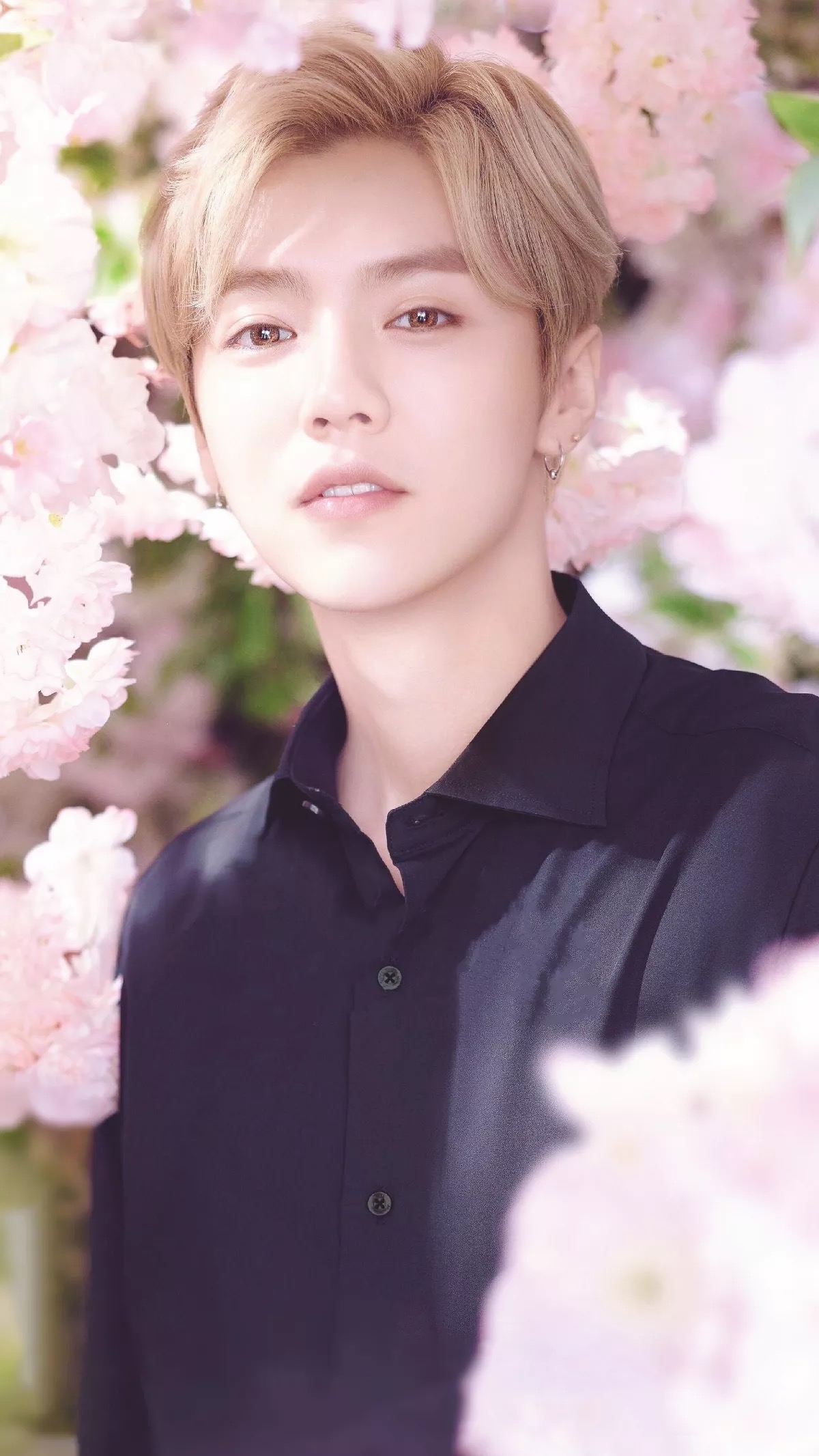 burberry运动男士香水,burberry香水动感节拍