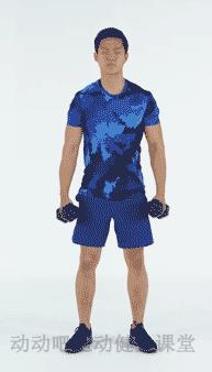 一副哑铃，五个动作，让你在家也能锻炼全身肌肉