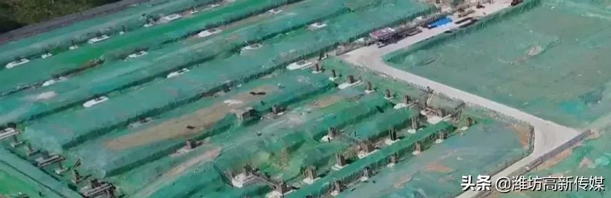 秘籍曝光！京潍萍水相逢不到一年就“闪婚”！原来道道这么多