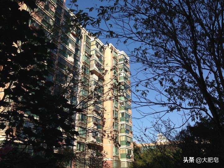 iphone5系列哪个拍照好看,iphone5拍照好看还是5s好看