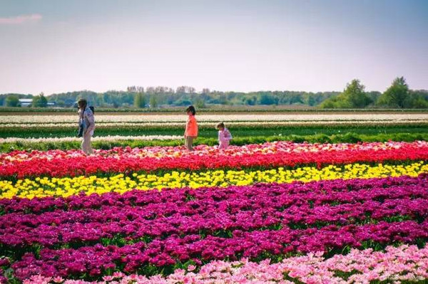 爱尔兰是不可以离婚的国家吗,爱尔兰是一个不能离婚的国家吗