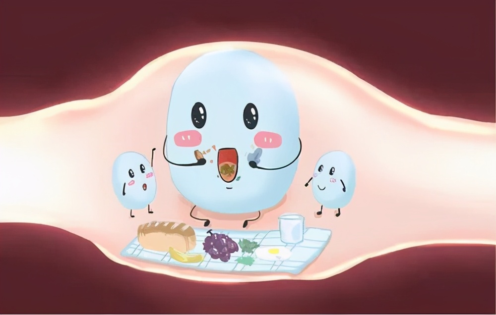 宝宝脾胃不好积食怎么办,宝宝脾胃不好积食怎么调理