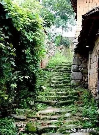 江西100多一瓶的酒,江西南康老酒