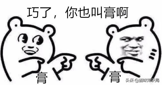 猫粮加营养膏营养够吗,好吃又不贵的猫粮营养膏