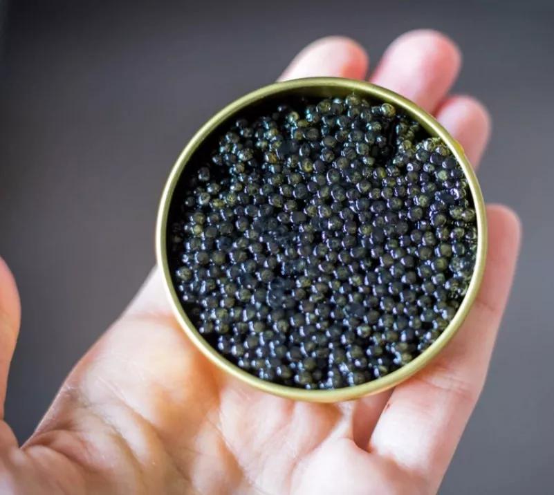 鱼子酱冷知识大全,世界三大珍馐鱼子酱制作方法
