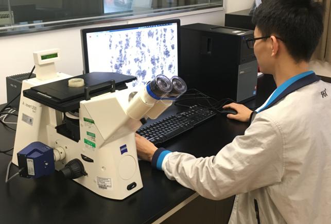 材料小博士：金属研究的葵花宝典，你了解金相分析吗？