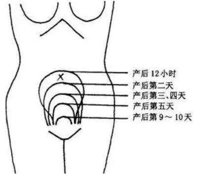 产后如何知道子宫是否恢复原状？