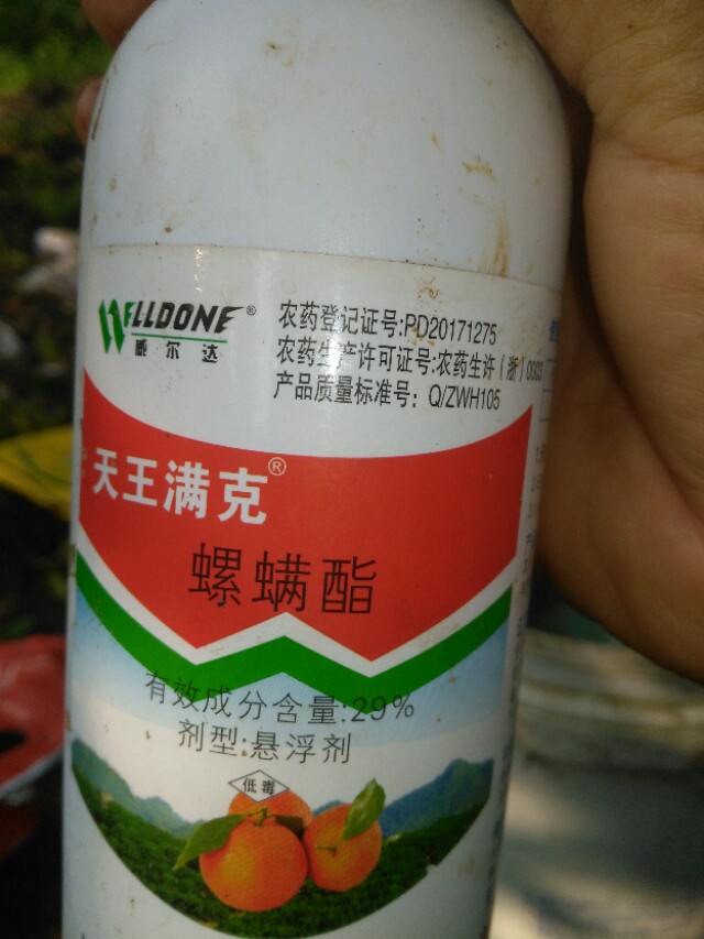 现在橙子打药都是打什么药,橙子一年四季都打什么药