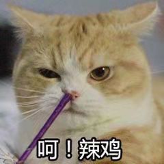 快速搞懂汽车音响,汽车音响入门初体验