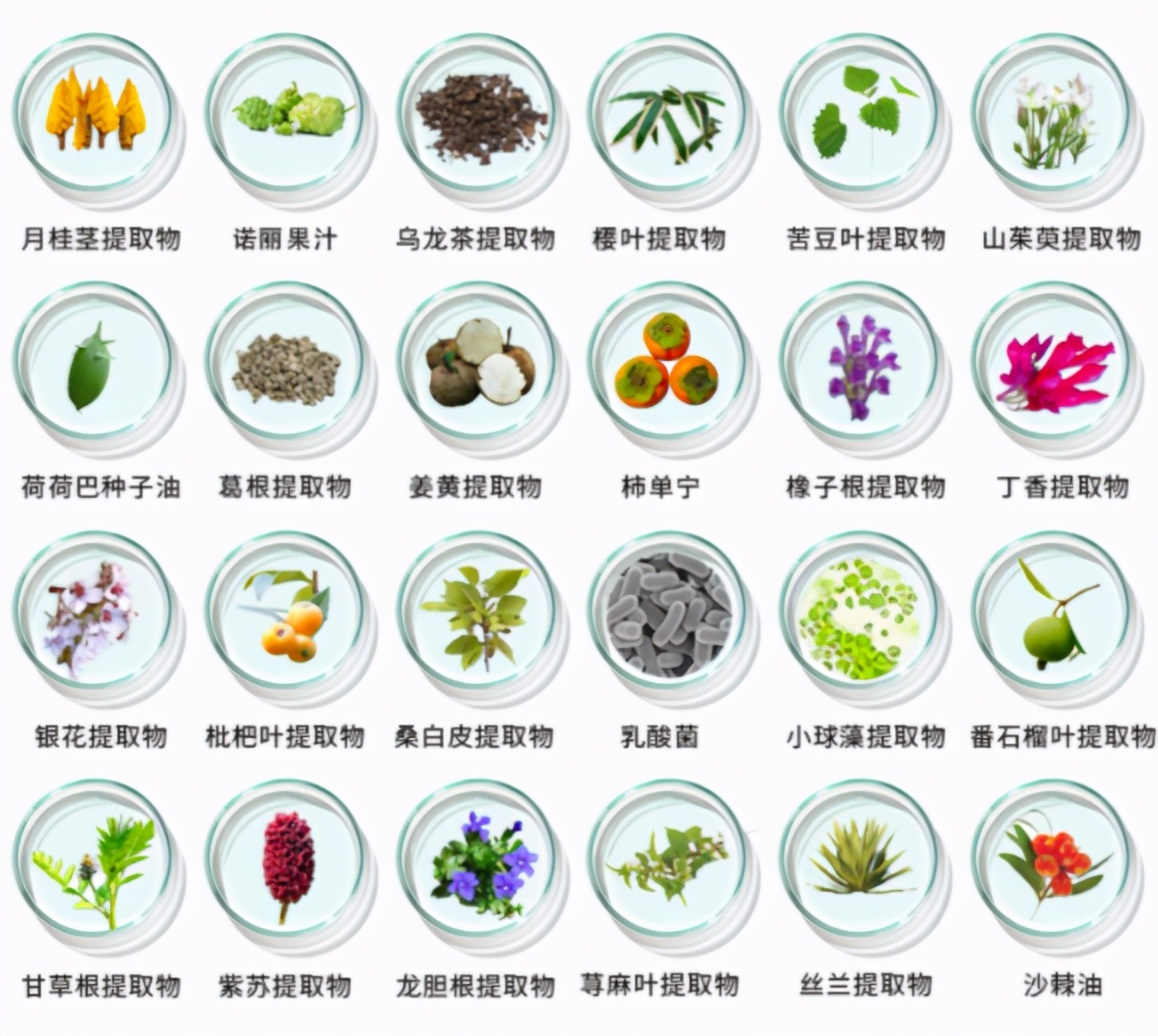 脱发增发洗发水防脱生发效果持久,氨基酸洗发水推荐去屑控油防脱发