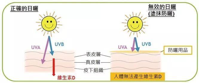 晒太阳会老得更快吗,晒太阳老得快还是不晒太阳老得快