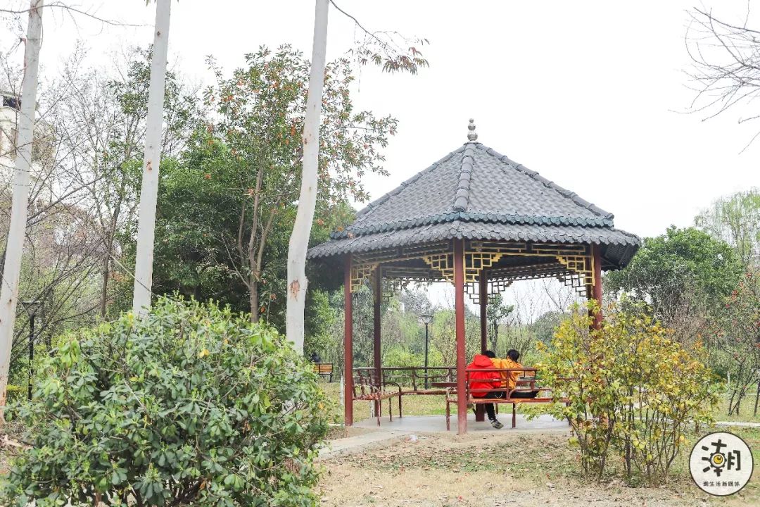 閿﹀煄鐨囧璐垫棌瀛﹂櫌,鎴愰兘閿﹀煄璐垫棌瀛﹂櫌