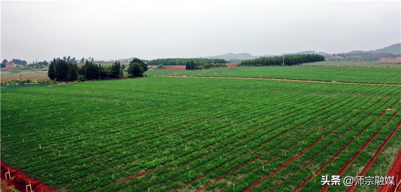 麻栗坡社区居民的贴心人,村民的贴心人原唱