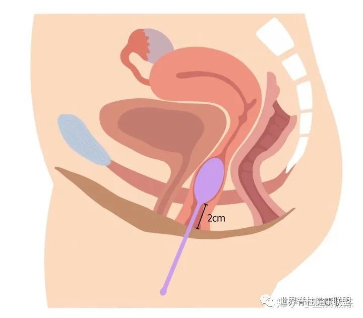 “啪啪啪”的玄机，原来在这块肌肉上