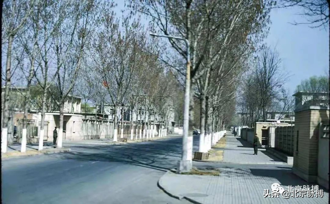 记忆中的北京绘画,这些画最能还原真实的老北京