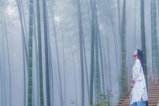 职业期货交易员的真实心态,期货交易员适合什么人做