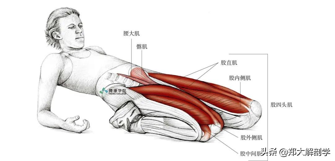 老年人蹲马步的正确方法,老年人膝盖疼蹲不下去怎么锻炼