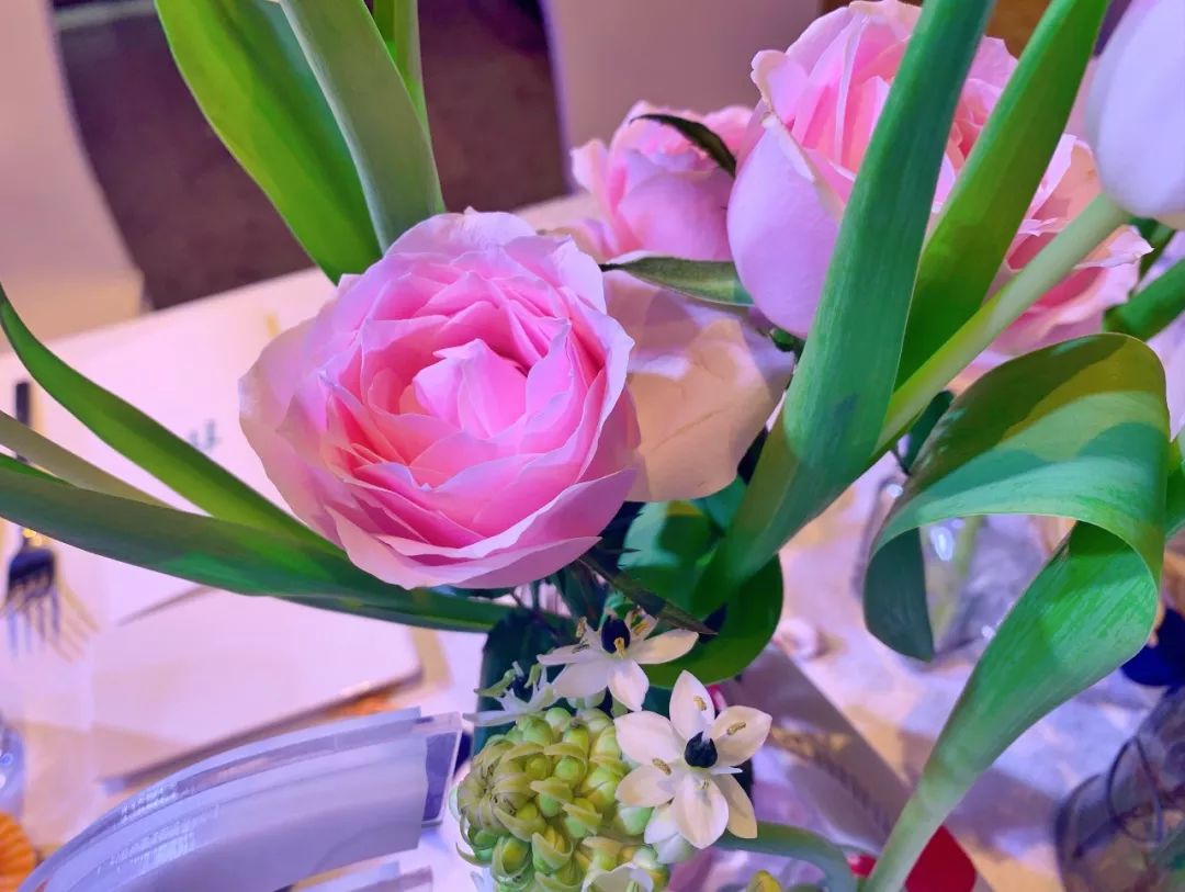 ifer来信|if带给我的峰值体验，幸福且美好