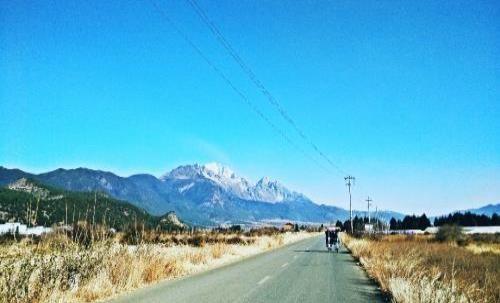 世界上最神奇的树,世界上可以杀死人的10种树木