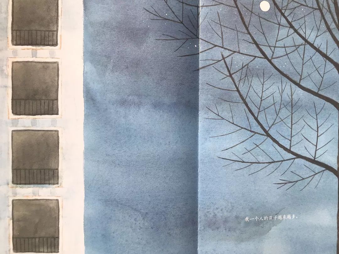 成长的秘密绘本,树看到了什么