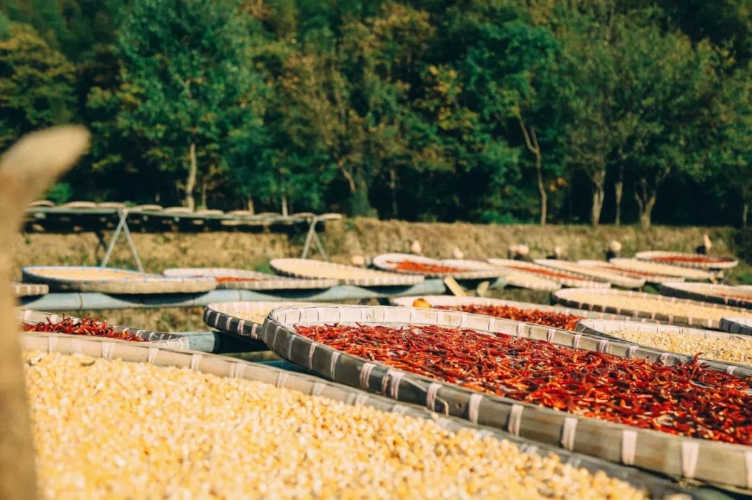 徽州赏秋三日游自驾游攻略,小众徽州赏秋村落