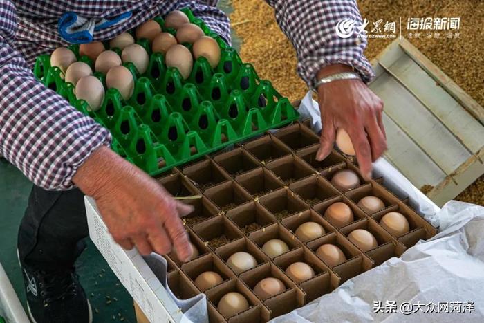 1元微力量捐款到武汉|30枚爱心鲜鸡蛋26.8元,顺丰包邮到家