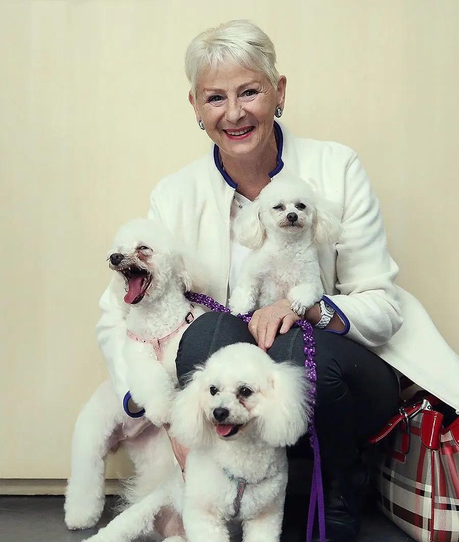 怎么学宠物美容护理,0基础怎么学习宠物美容