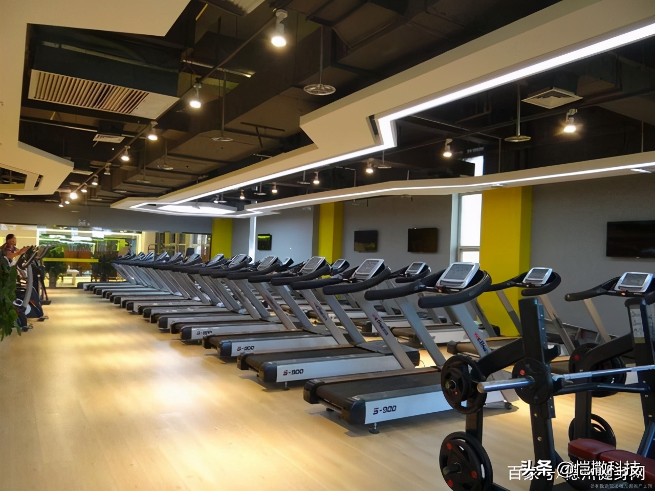 德州健身房十大排名,德州口碑最好的健身房