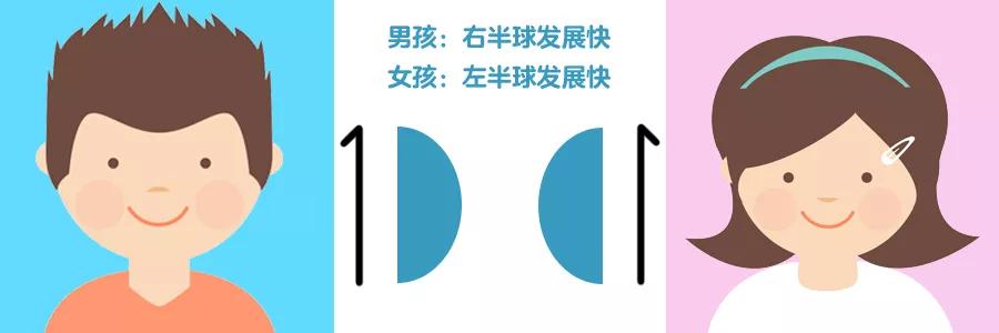 男女大脑发育有先天差异吗,男孩大脑发育和女孩的区别