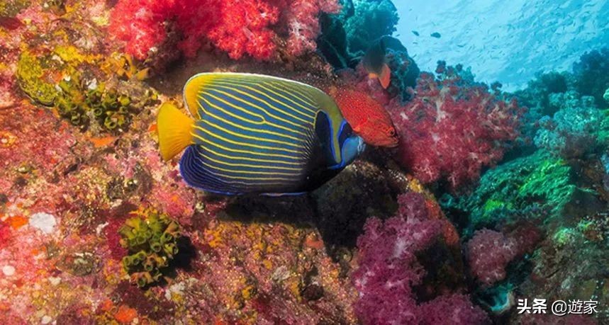 泰国哪些海岛值得去旅游,泰国岛屿排名前十海岛