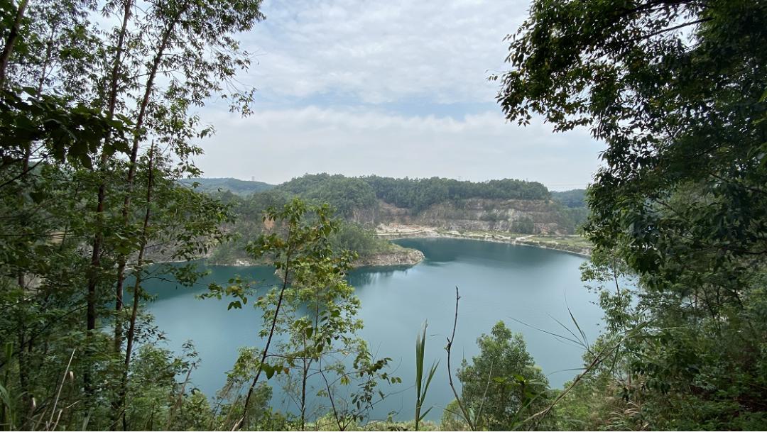 从城市到山林,从城市到田野