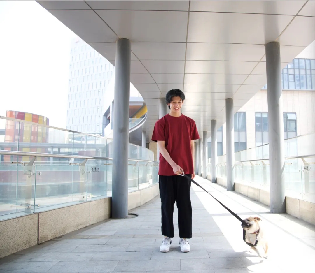 15个颜色的衣服,supreme白t恤有几种