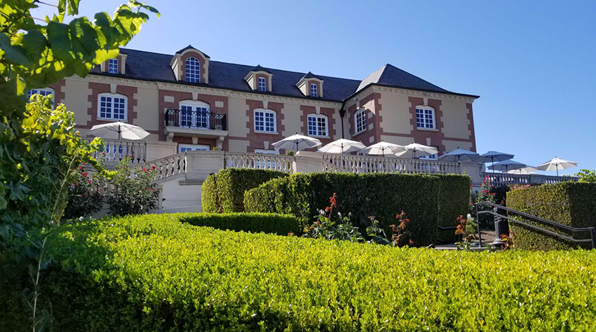 红酒的七大骗局是哪些呢,你被红酒忽悠过吗