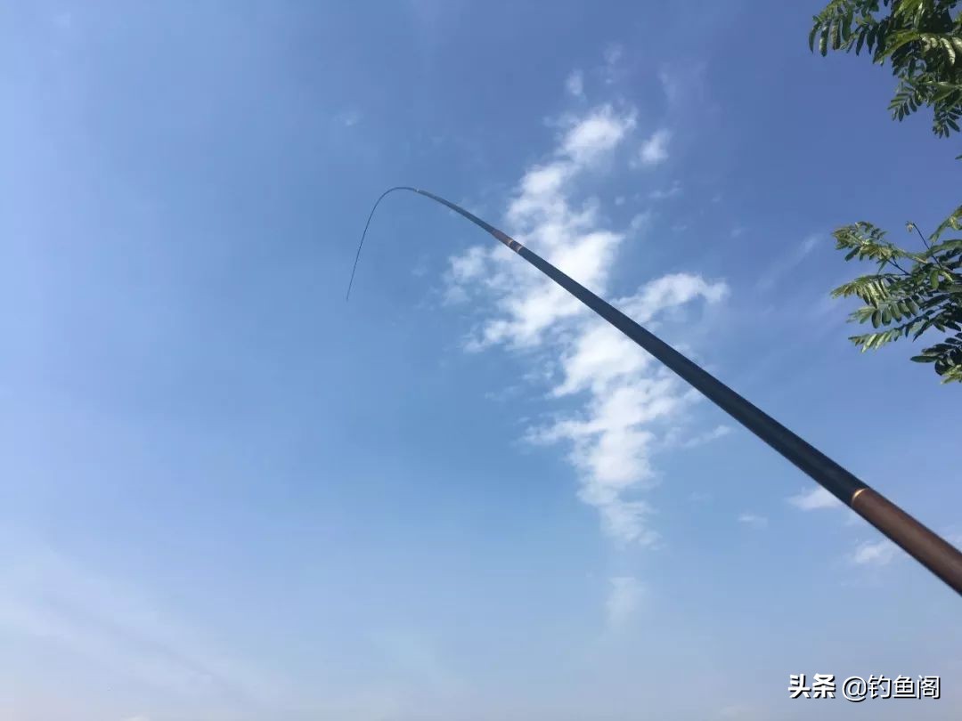 入门级野钓鱼竿推荐top10,推荐几款简单的钓鱼竿好用