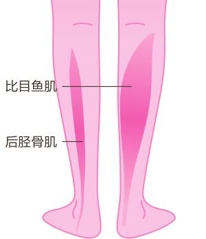 肌肉放松状态下很僵硬怎么放松,如何让僵硬紧绷的肌肉恢复正常