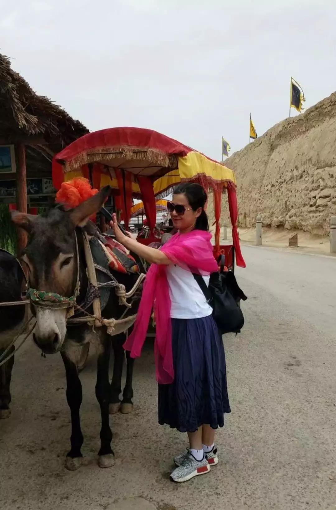 黄建芳湖南嘉禾人,黄建芳小号