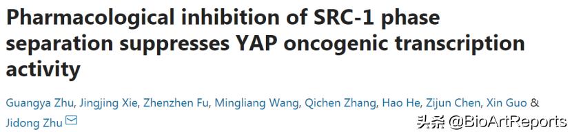 新型抗艾滋病药物及其作用机制,抗艾滋新药